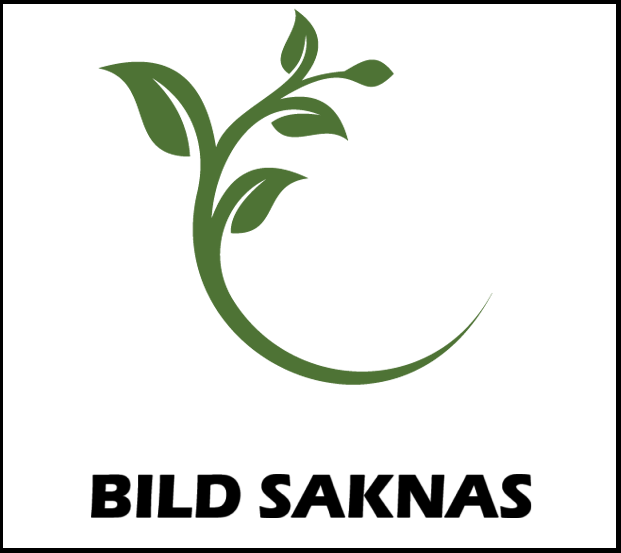 Lurvbräken - Dryopteris cycadina - Utsedd till Årets perenn 2026