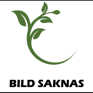 Afrikas Blå Lilja ‘Blue’