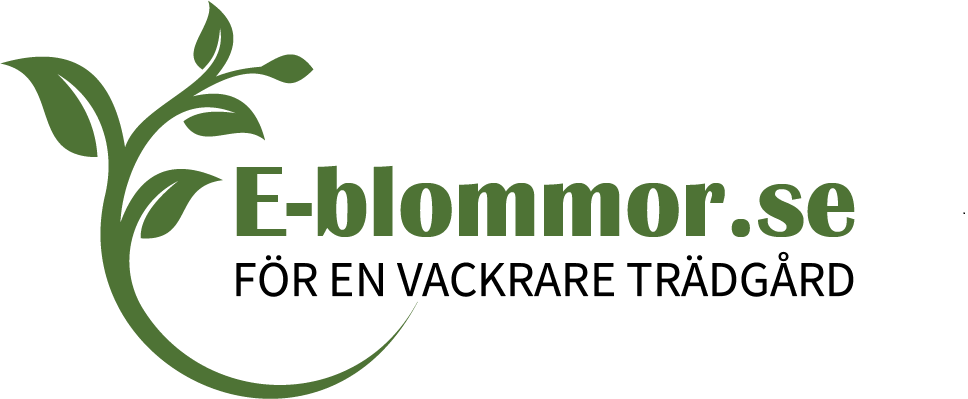 www.e-blommor.se