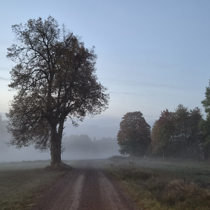 Kurs - Lövkompost i Åsbro 10/10 - 2026